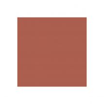 Résine Etanchéité Terrasse Circulable - Peinture Colorée - Arcaterrasse - 10 L Tuile - Arcane Industries - Bricoman