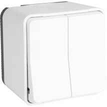 Double Interrupteur Va Et Vient Ip55 - Blanc - Mureva - Schneider - Bricoman
