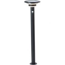 Potelet Extérieur - Brilliant - Garvina - Led Et Solaire - Détecteur De Mouvement - Acier Inoxydable Et Plastique - 4 W - Noir - Bricoman