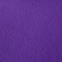 Moquette - Stand Event - Violet - 2 M X 10 Ml - Bricoman