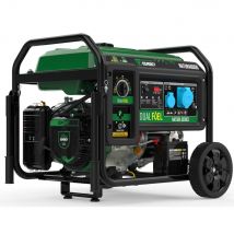 Groupe Électrogène Gaz/essence Genergy Natura 6000 Iii 5,5kw - Bricoman