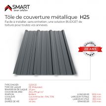 Tôle Bac Acier - Toiture - Couverture - Plaque Tr25 Coloris Gris Anthracite Ral 7016 Dimensions 1200x895x0.50mm - Bricoman