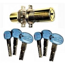 Jeu De Cylindres Fichet 787 .6 Clés Mottura Pour Serrure Fichet 787 . - Bricoman