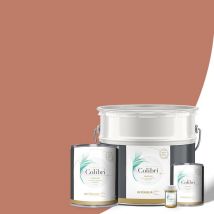 Peinture Murs Et Plafonds Terracotta Tolosa, Velours 1l, Peinture Biosourcée Colibri - Bricoman