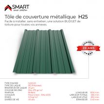 Tôle Bac Acier - Toiture - Couverture - Plaque Tr25 Coloris Moss Green Ral 6005 Dimensions 1200x895x0.40mm - Bricoman