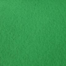 Moquette - Stand Event - Vert - 2 M X 30 Ml - Bricoman