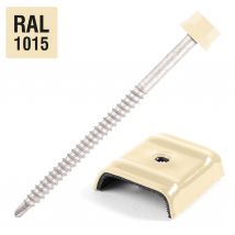 Kit 25 Fixations Bac Acier Sur Bois Ø6,3 X 100 Beige Ral1015 Scell-it - Bricoman