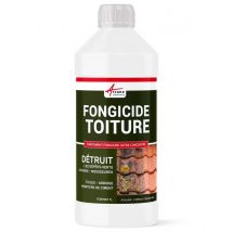 Traitement Anti-dépots Verts Ultra Concentré Pour Toitures Et Tuiles - 1 L (jusqu'à 250 M²) - - Arcane Industries - Bricoman