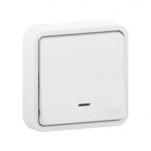 Bouton Poussoir Encastré Ip55 Mureva - Blanc - Schneider - Bricoman