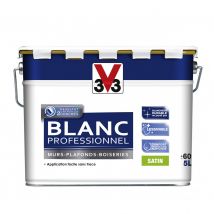 Peinture Intérieure Blanc Professionnel - Bricoman