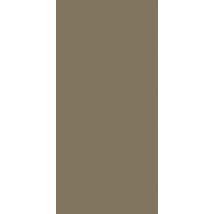 Panneau Mural Taupe Finition Brillant L. 90 Cm X 210 Cm, Schulte, Decodesign Couleur, Revêtement Hydrofuge Pour Douche Et Salle De Bains - Bricoman