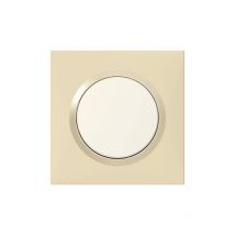 Plaque Legrand Dooxie 1 Poste Carrée Dune - Bricoman