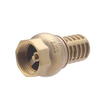 Crépine À Clapet Femelle 33x42 (1' 1/4) Noyon & Thiebault - Bricoman