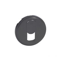 Legrand 067937 Enjoliveur Celiane Telephone Rj 45 Graphite - Bricoman