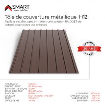 Tôle Bac Acier - Toiture - Couverture - Plaque H12 Coloris Brun Chocolat Rall 8017 Dimensions 1200x910x0.40mm - Bricoman
