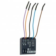 Récepteur Somfy Izymo Dimmer Io 1822663 - Bricoman