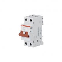 Interrupteur-sectionneur Modulaire 2p 63a - Série Sd200 - Bricoman