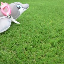 Gazon Synthétique Valençay - 25mm - Rouleau De 1m X 10m - Bricoman