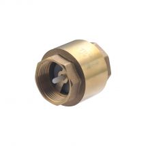 Clapet Anti-retour Double Femelle 33x42 (1' 1/4) Noyon & Thiebault - Bricoman