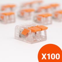 Borne De Connexion À Levier - Lot De 100 - Connecteur 2 Entrées - Bricoman
