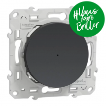 Variateur Universel Odace Wiser Schneider Electric - Poussoir - 2 Fils - Zigbee - Anthracite - Bricoman