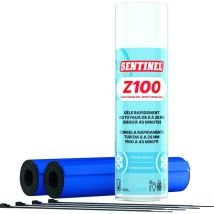 Kit Spray Congelant - Z100 - Sentinel - Bricoman