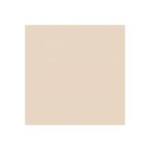 Résine Etanchéité Terrasse Circulable - Peinture Colorée - Arcaterrasse - 10 L Sable - Arcane Industries - Bricoman