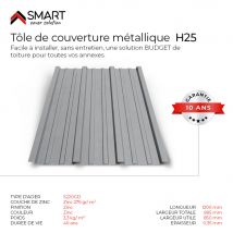 Tôle Bac Acier - Toiture - Couverture - Plaque Tr25 Galvanisé Dimensions 1200x895x0.40mm Zinc 275 Gr S220gd - Bricoman