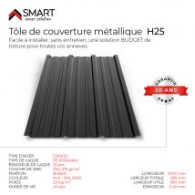 Tôle Bac Acier - Toiture - Couverture - Plaque Tr25 Coloris Noir Brillant Ral 9005 Dimensions 2000x895x0.40 Mm - Bricoman