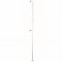 Barre D ́appui Et Relèvement Wc Fixations Sol Et Mur Pmr Normes Handicapé Sanindusa Newwccare Blanche - Bricoman