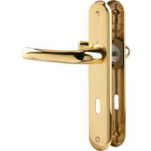 Poignée De Porte Intérieure - Tokyo - Hoppe Et Cie - Doré - Clé L - 195 Mm - Tecnomat