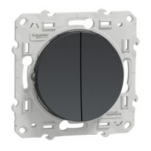 Double Poussoir 10a Odace - Anthracite - Bricoman