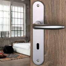 2 Poignées De Porte Venus Entrée De Clé, Aluminium Argent Entraxe 195 Mm, Chambre - Bricoman