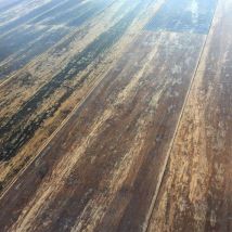 Parquet Massif Bambou Strong Verni Wagon Vieilli 142x12x1830mm - Bricoman