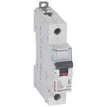 Disjoncteur 2a 10ka Courbe D 1 Pole Legrand Dx3 Vis / Vis - Bricoman