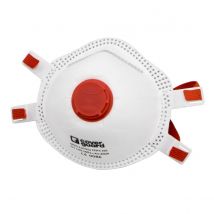 Boite De 10 Masques Antipoussieres Jetables Ffp3 Nr - Coverguard - Bricoman