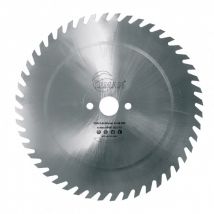 Lame Acier 600x2.8x30 56 Denture Crochet Leman - Bricoman