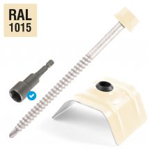 Kit 50 Fixations Bac Acier Sur Bois Ø6,3 X 100 Beige Ral1015 Scell-it - Bricoman