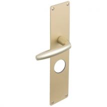 Poignée À Béquille Extérieure Pour Exclusive A2p* - Assa Abloy Vachette Champagne 70 A2p* - Bricoman