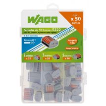 Valisette 50 Bornes Wago, Pour Fils Souples Et Rigides 0,08-4 Mm², Sans Outil, 32a, Avec Point De Test - Bricoman