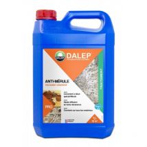 Anti-mérule 5l Traitement Concentré À Diluer - Bricoman