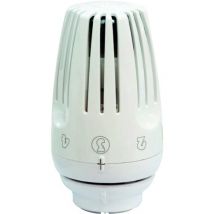 Tête Thermostatique Avec Bulbe À Liquide - R469 - Giacomini - Bricoman