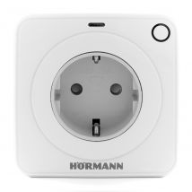 Prise Commandée Hormann Fes 1 Pour L'Éclairage - Bricoman
