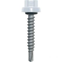 Vis De Bardage Acier Cémenté Tête Hexagonale Laquée Zacrovis Bois Colori Gris 6,5x38 Mm Boîte De 100 Pièces - Bricoman