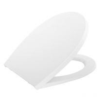 Abattant Wc Blanc De Forme Ovale En Polypropylène - Delfi - Bricoman