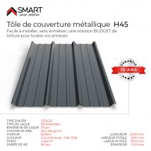 Tôle Bac Acier - Toiture - Couverture - Plaque Tr45 Coloris Gris Anthracite Ral 7016 Dimensions 2000x1050x0.63mm - Bricoman