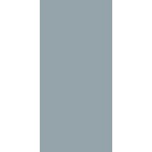 Panneau Mural Gris Argente Finition Brillant L. 90 Cm X 210 Cm, Schulte, Decodesign Couleur, Revêtement Hydrofuge Pour Douche Et Salle De Bains - 