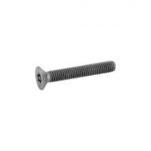 Vis Torx Inviolable Inox Acton 5x20 Mm Boîte 100 Din 7991 - Bricoman