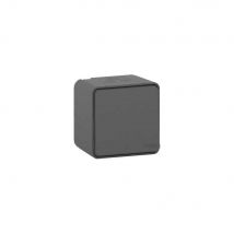 Schneider Electric - Mureva Styl - Bouton Poussoir Saillie Ip55 Ik08 Gris - Mur35026 - Bricoman