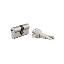 Thirard - Cylindre De Serrure À Double Entrée Trafic 6, 30x30mm, Nickel, Anti-arrachement, Anti-perçage, 5 Clés - Thirard - Tecnomat